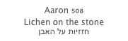Aaron 508
Lichen on the stone
חזזיות על האבן