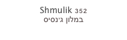 Shmulik 352
במלון ג’נסיס