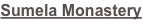 shapeimage_7_link_1
