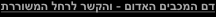 shapeimage_7_link_11